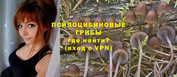 прущие крисы Кинешма