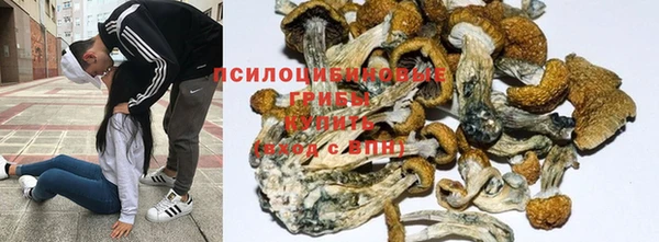 винт Кодинск