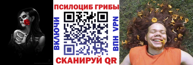 Псилоцибиновые грибы Cubensis  Межгорье 